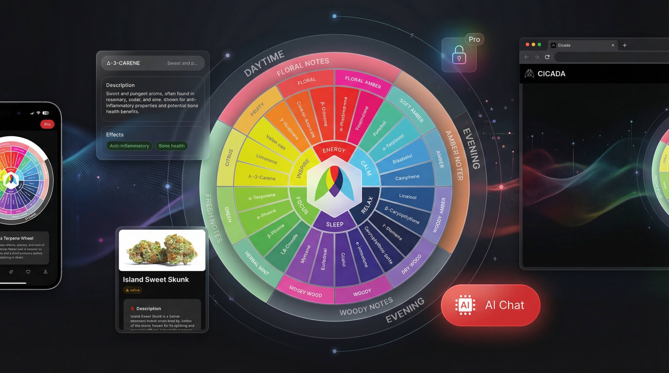 Cicada Terpene Wheel